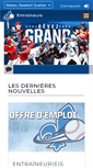 Mobile Screenshot of entraineur.baseballquebec.com